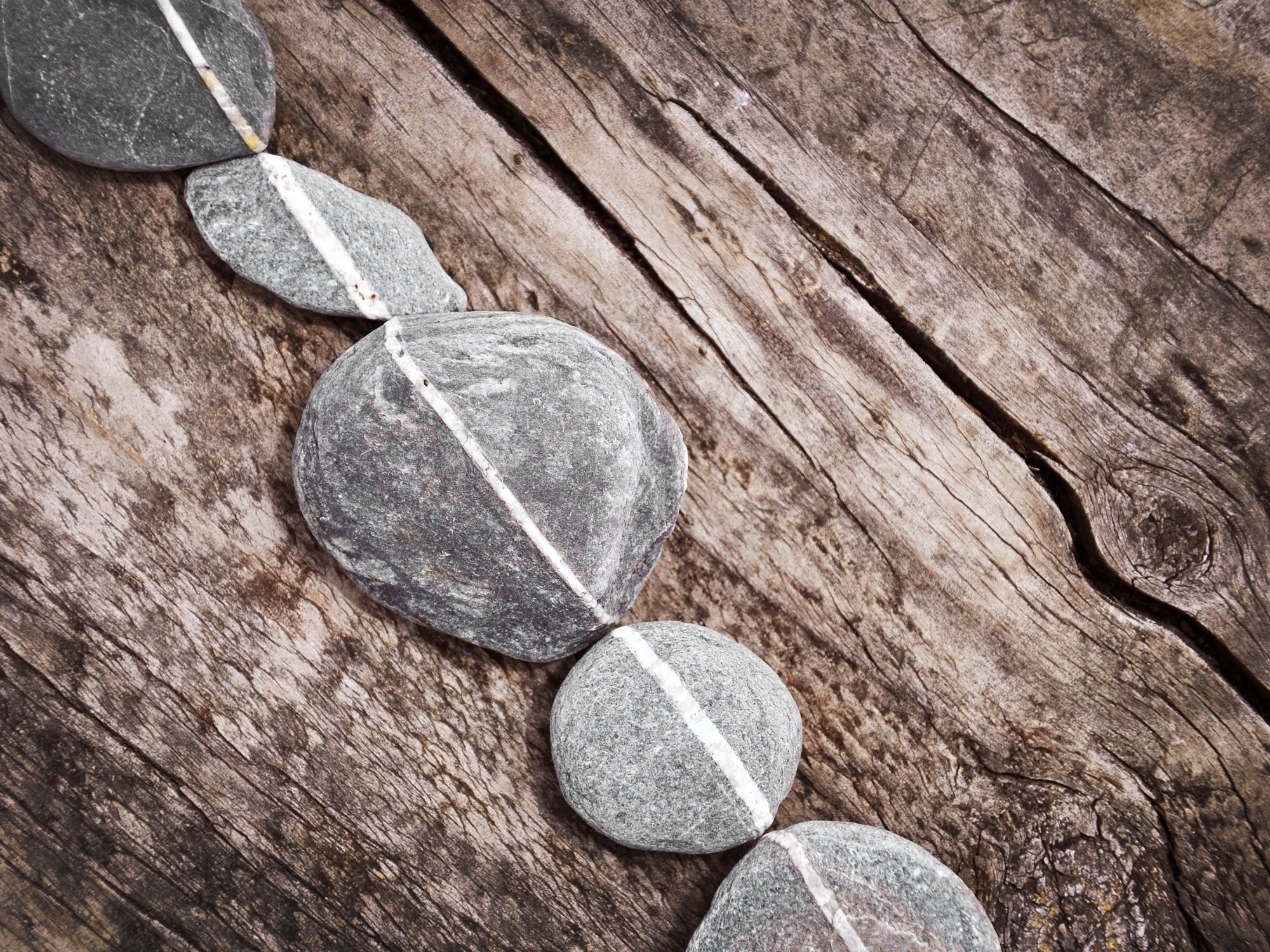Chiropractic and Recovery: How Alignment Helps You Heal Faster