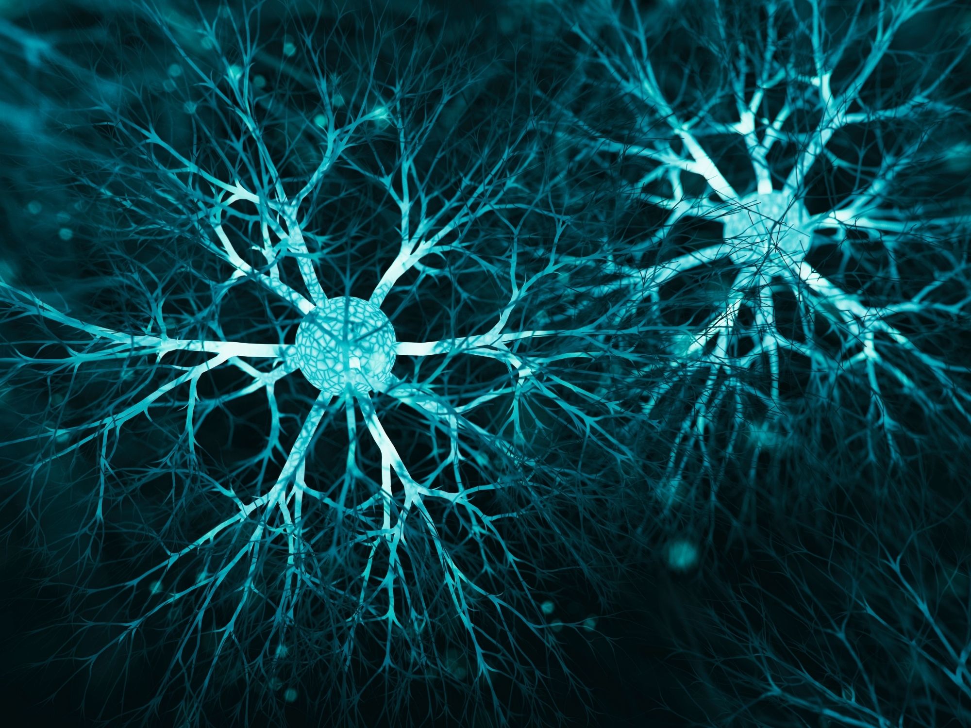 When the Nervous System Is "Stuck": Signs Your Body Is in Fight-or-Flight